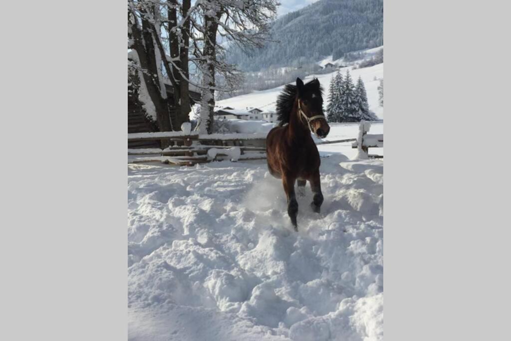 Sunny Apartment Maria Alm エクステリア 写真