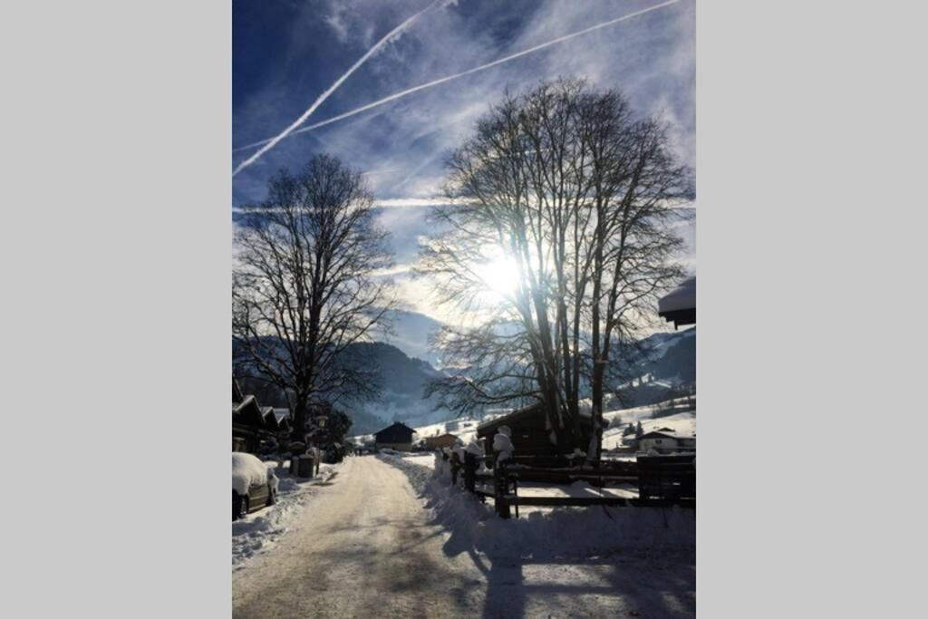 Sunny Apartment Maria Alm エクステリア 写真